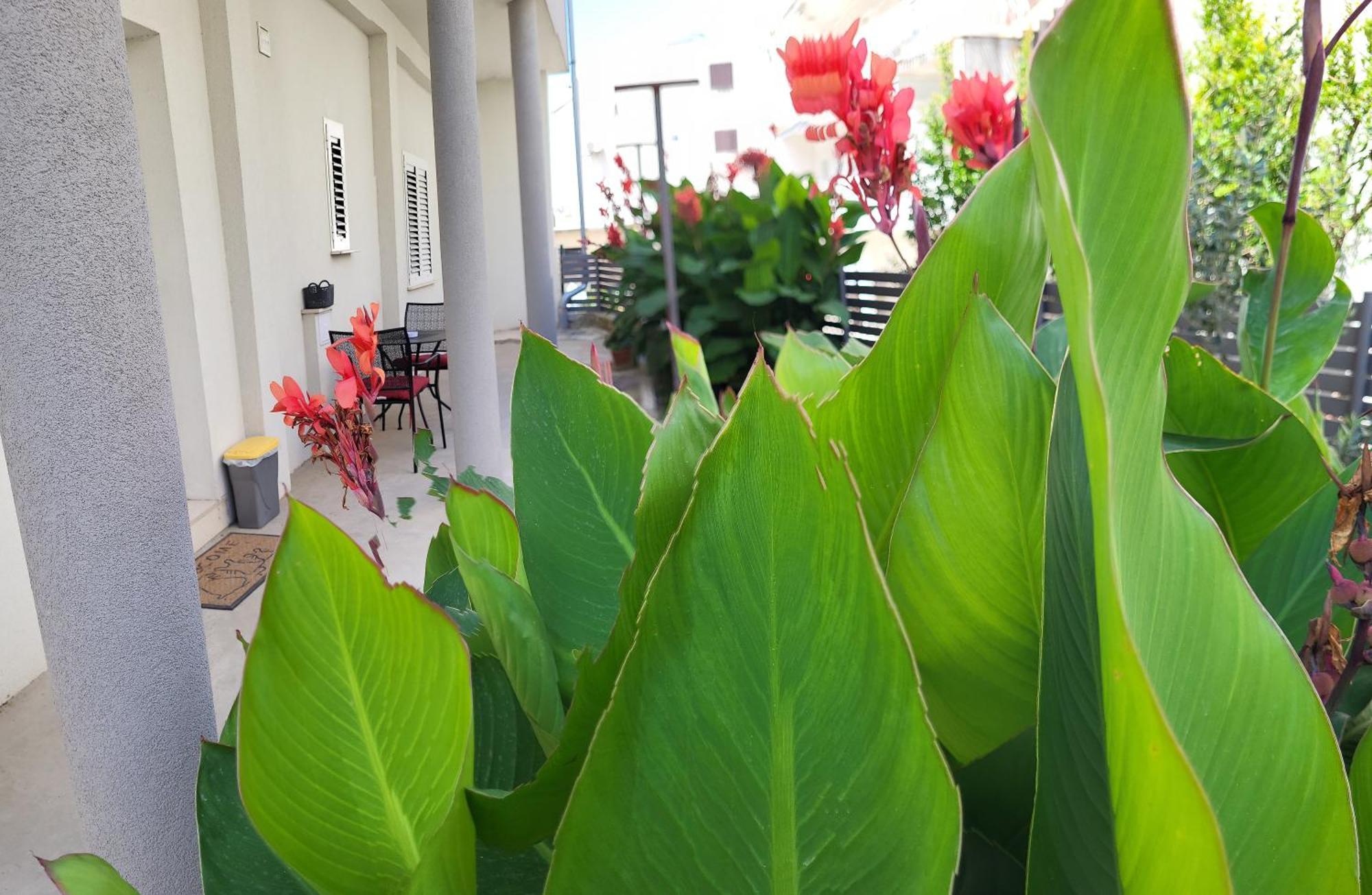 Ivona Apartment Split Luaran gambar